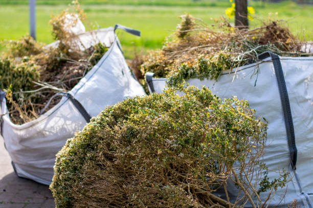 Best Electronics and E-Waste Disposal  in Plains, TX